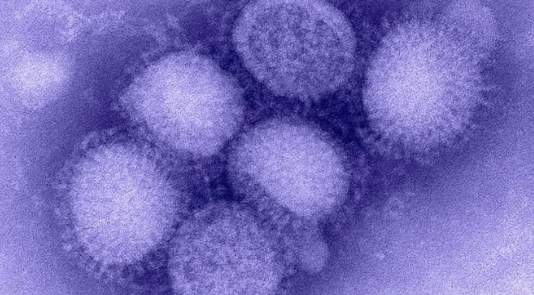 Say ‘shoo!’ to the flu - The Vail Voice